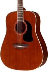 Washburn WD100DLTWWRK