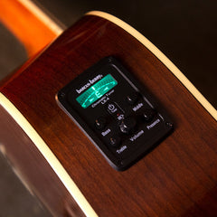 Washburn AG70CEK
