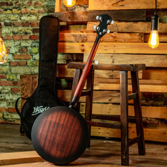 Washburn B8K W/bag