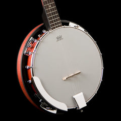 Washburn B8K W/bag