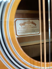 DM12-1 12 String Acoustic