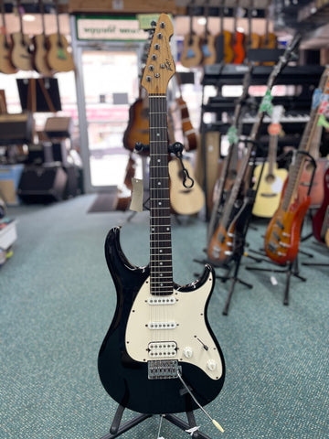 Peavey Raptor Plus