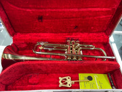 Holton Collegiate Trumpet