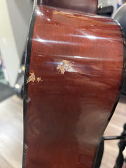 Tenada 12 String