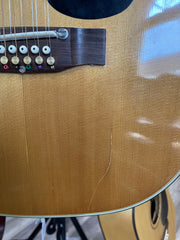 Tenada 12 String