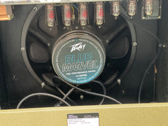 Peavey Delta Blues