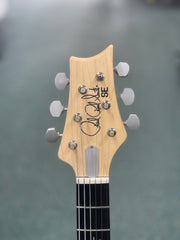 PRS SE Silver Sky