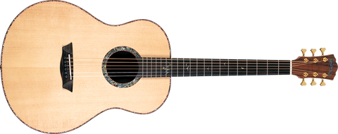 Washburn BTS24S