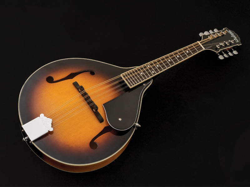 Mandolin Kit M1K-A-U with Gig Bag